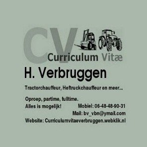 H. Verbruggen